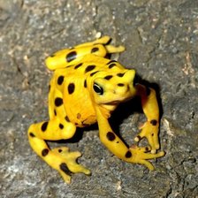 Схема вышивки «№1544206»