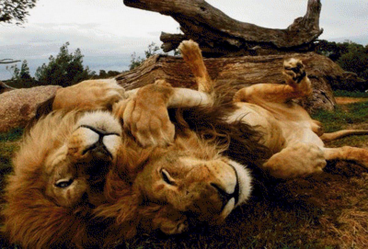 №1544244 - предпросмотр