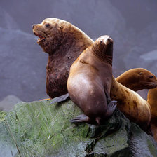 Схема вышивки «№1544256»