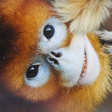 Схема вышивки «№1544577»