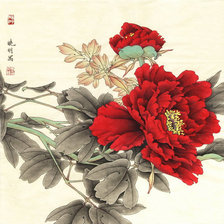 Схема вышивки «Hoa mẫu đơn»