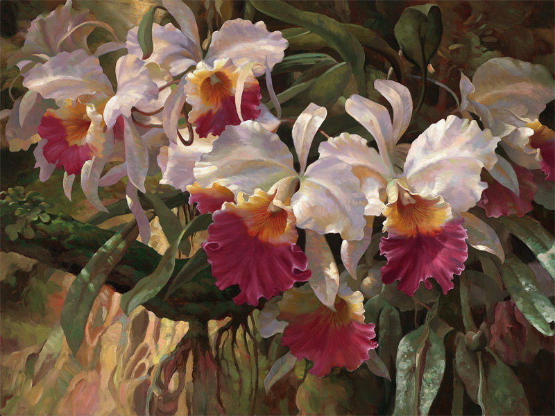 Орхидеи - цветы - оригинал