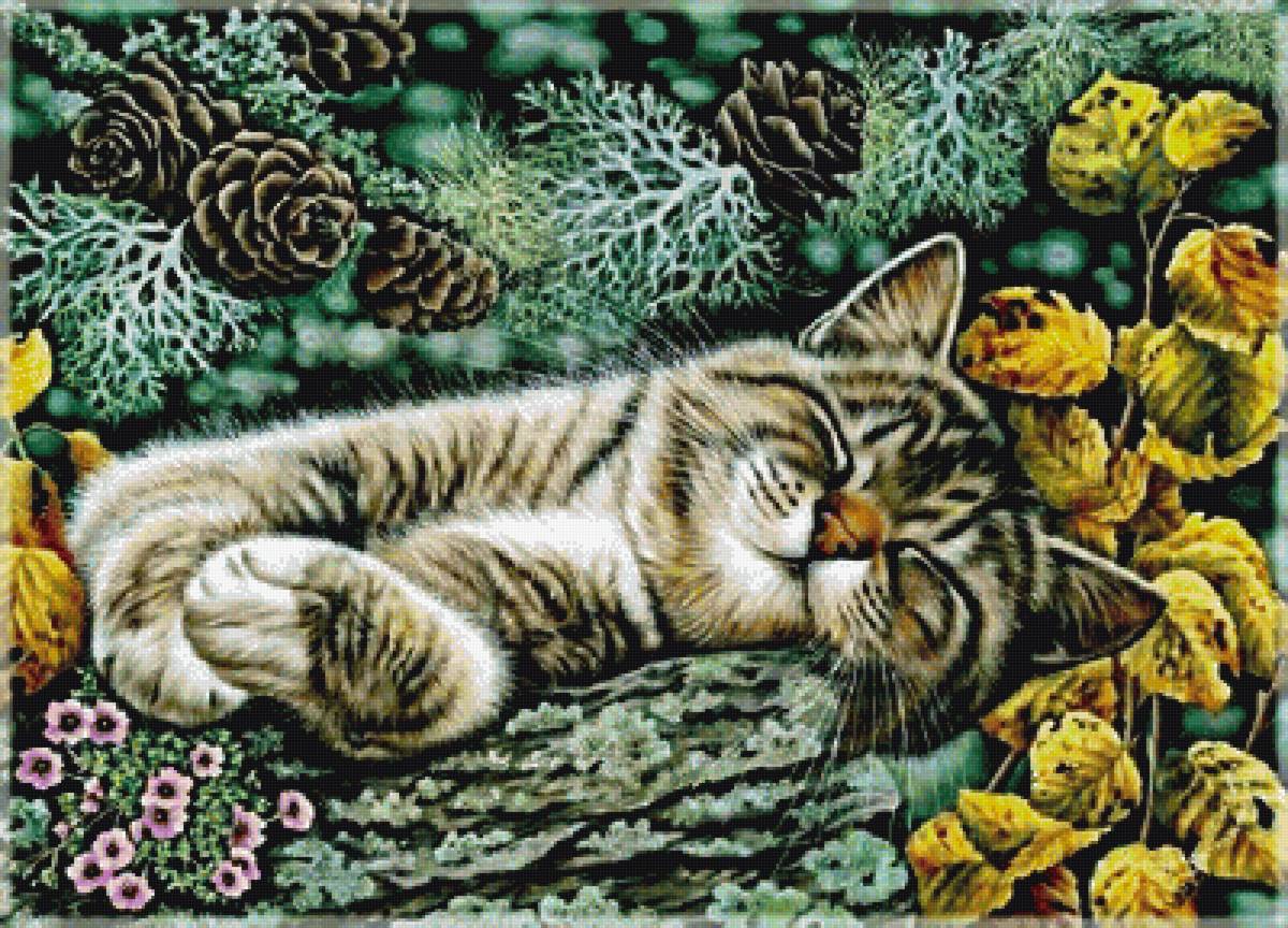 Котик - предпросмотр