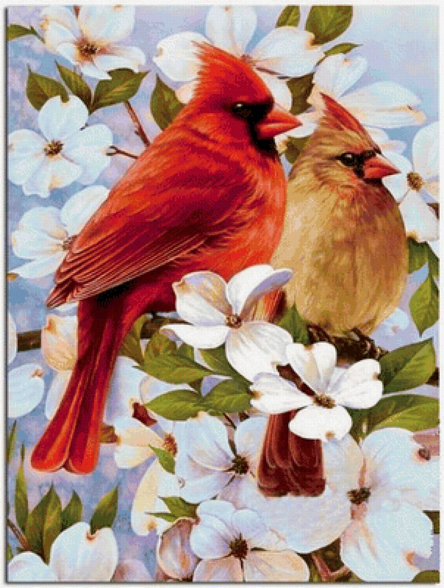 Весна - предпросмотр