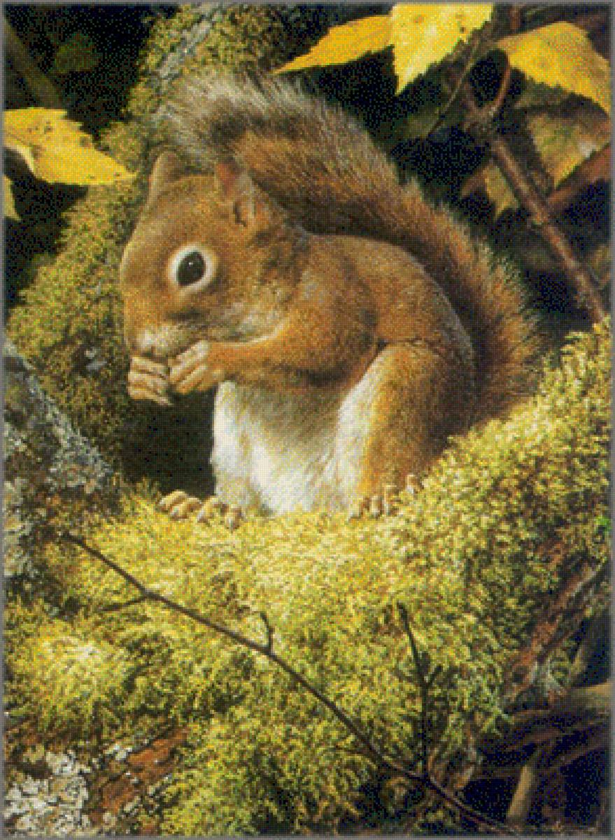 Les - предпросмотр