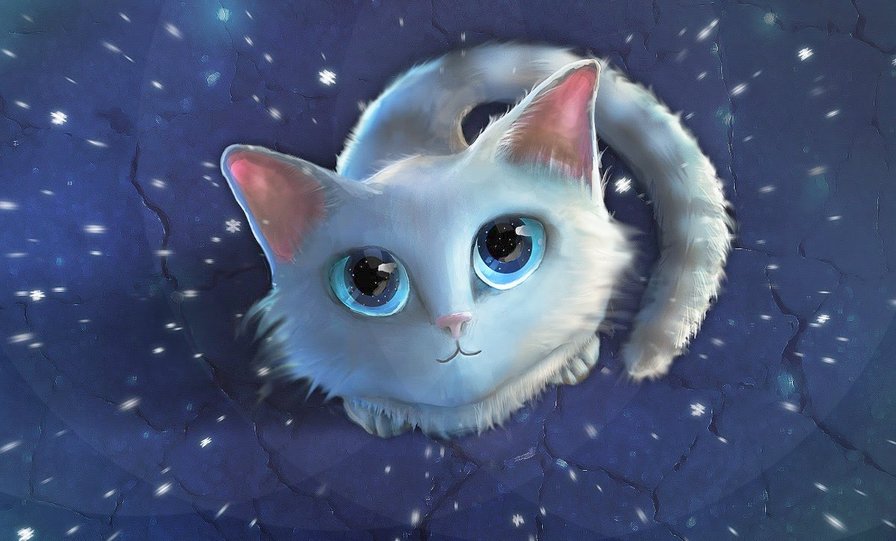 Котик - котик, рисунки, ночь, арты - оригинал