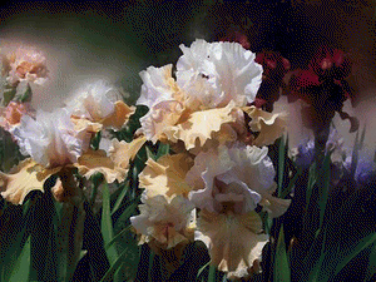 irysy - предпросмотр