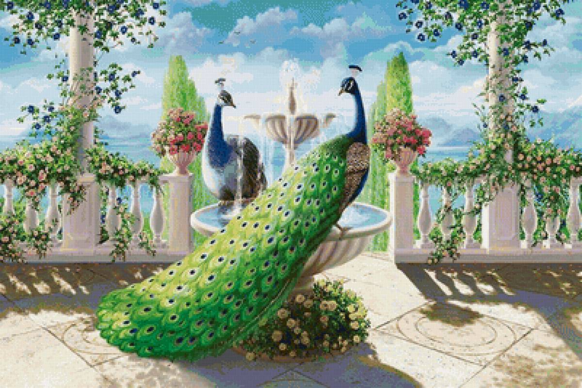 №1548706 - предпросмотр