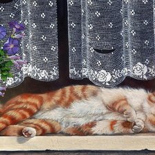 Схема вышивки «№1548932»