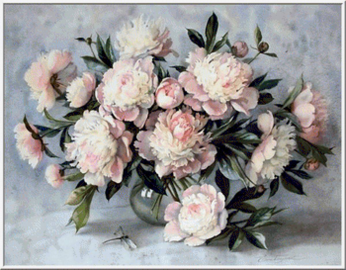 białe piwonie - предпросмотр