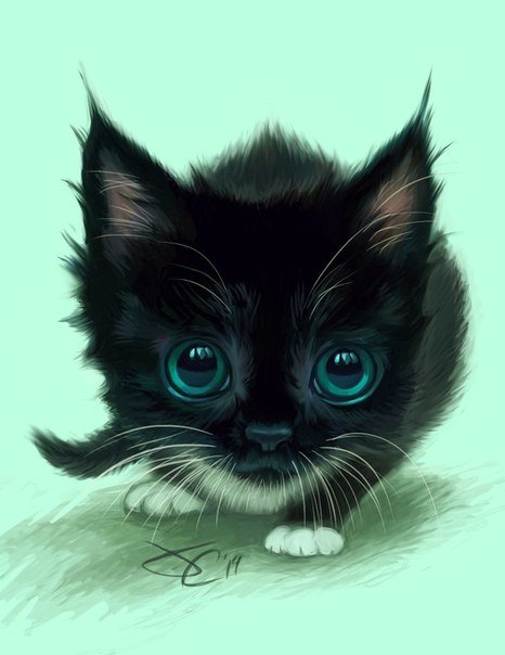 котенок - животные, кошки - оригинал