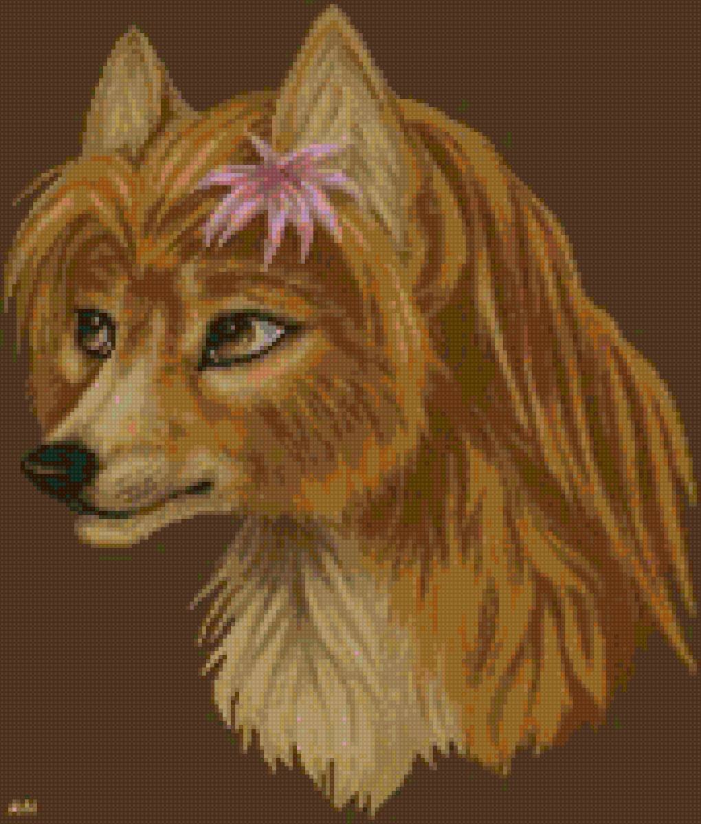 лисичка - предпросмотр