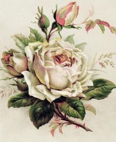 Роза - для подушки, принт, цветы - оригинал