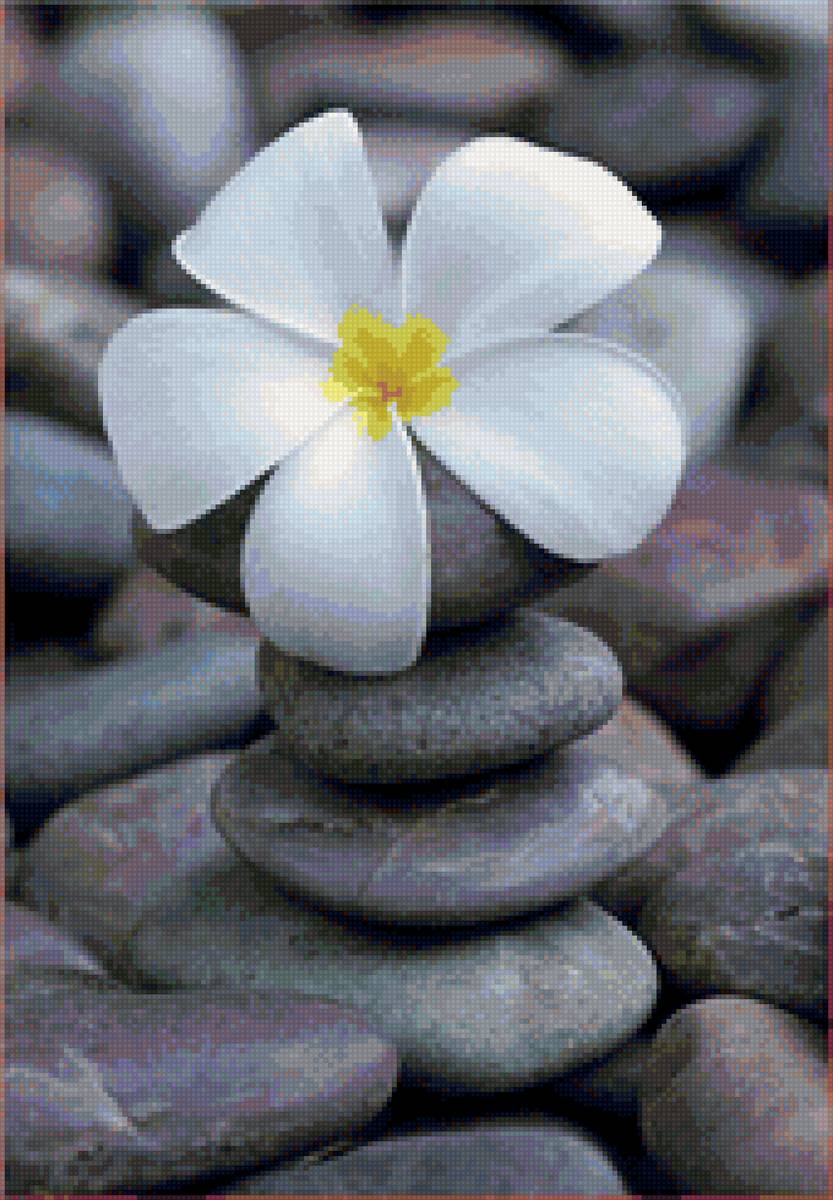 садик дзен - камни, дзен - предпросмотр