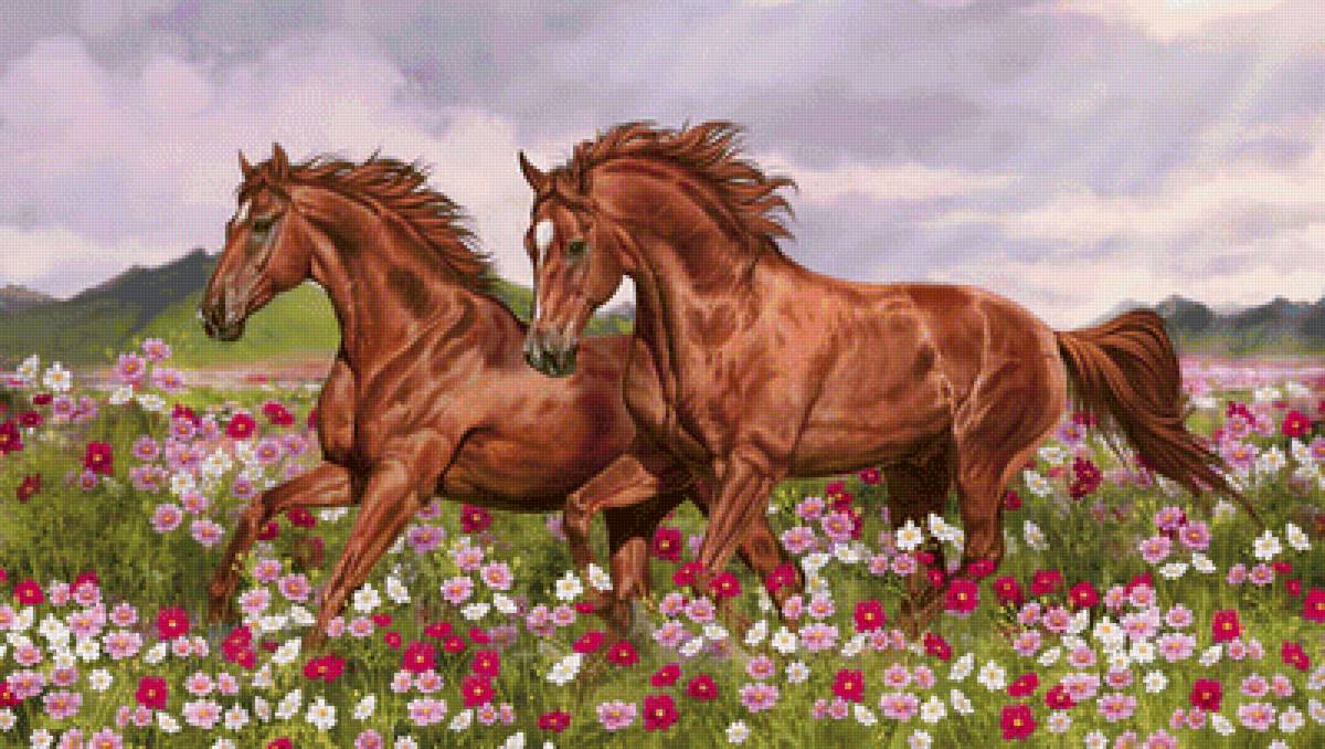 Лошади - животные - предпросмотр