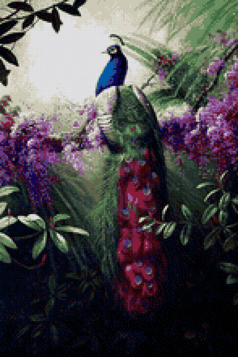 Павлин на дереве - предпросмотр