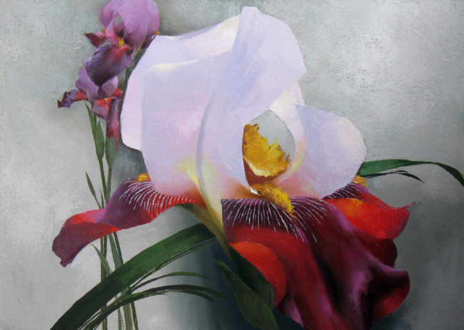 ирис - ирис, цветы - оригинал