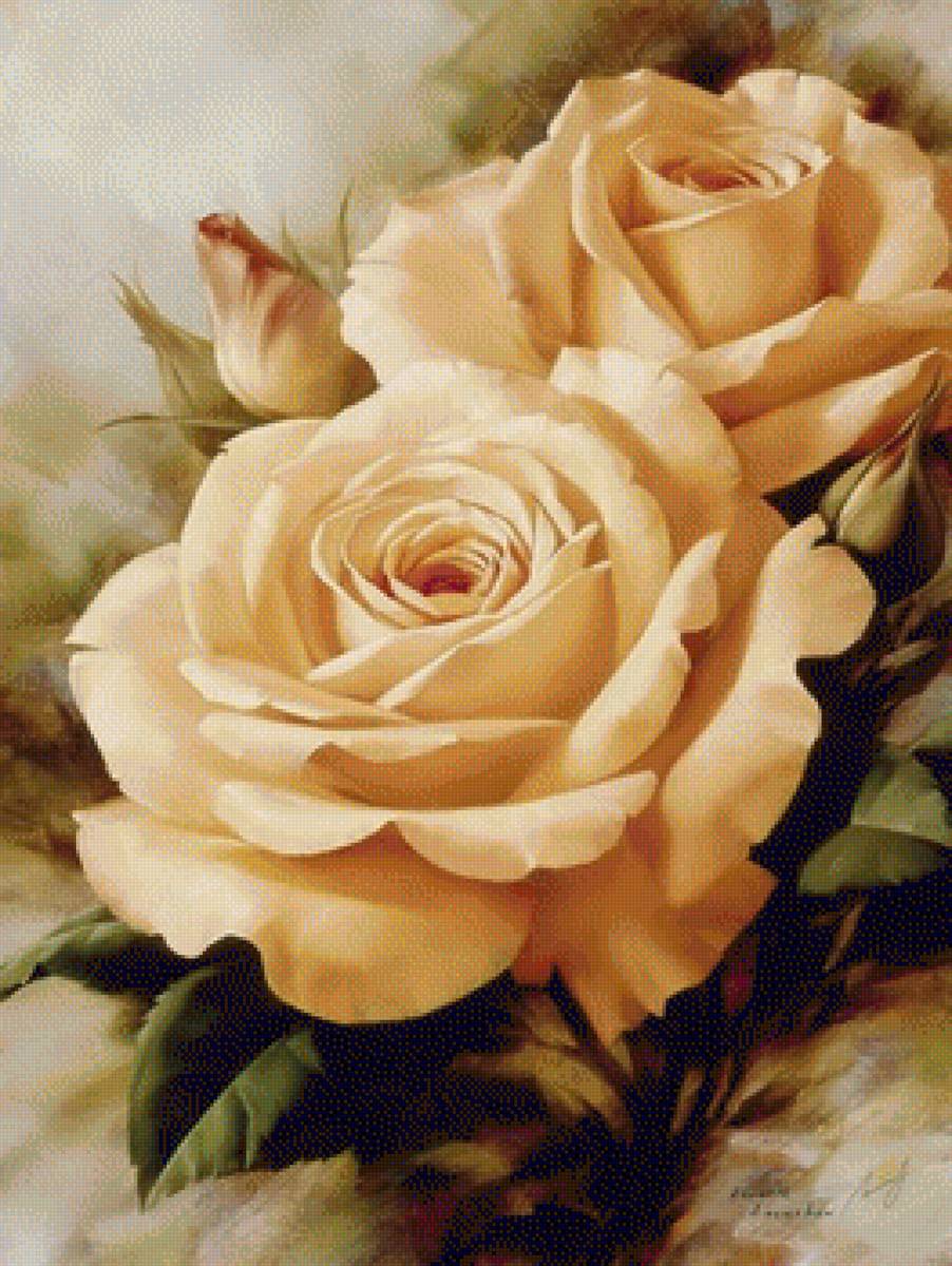 Levashov Igor - róże herbaciane - предпросмотр