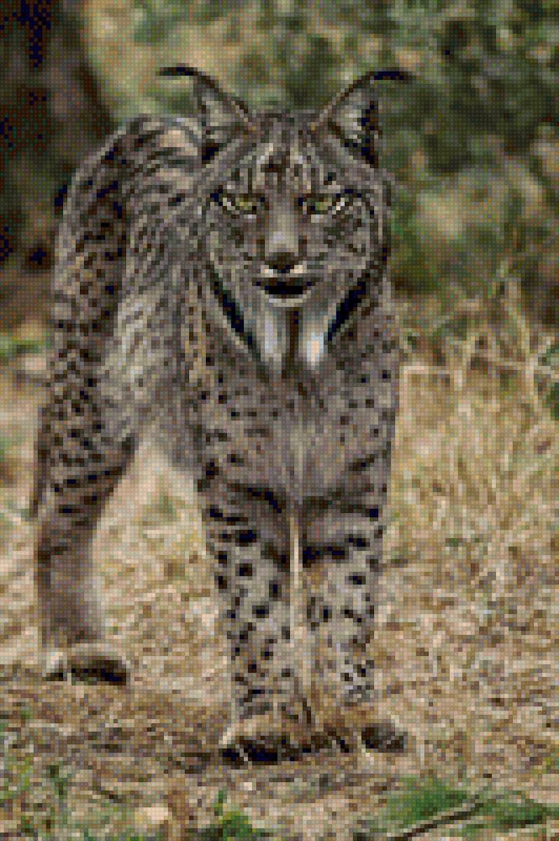 Lince - предпросмотр