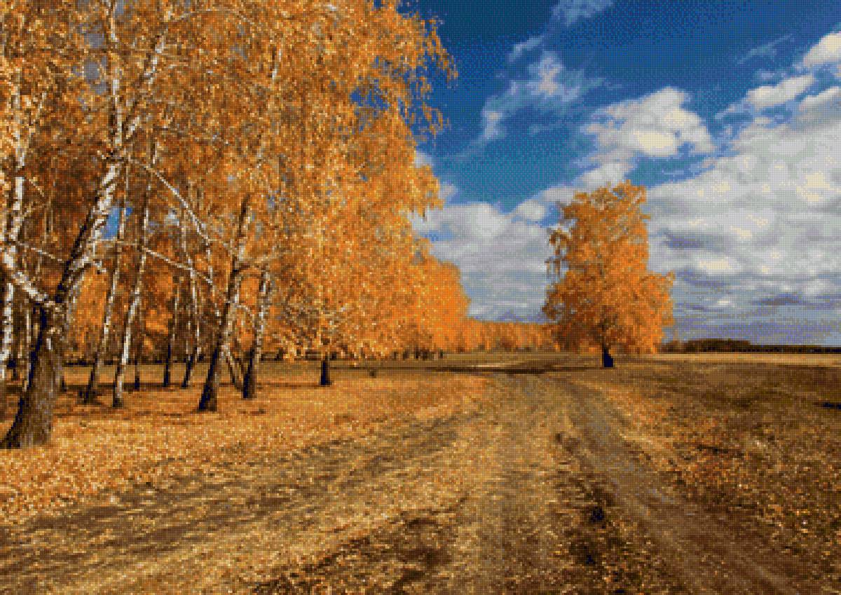 №1554244 - предпросмотр