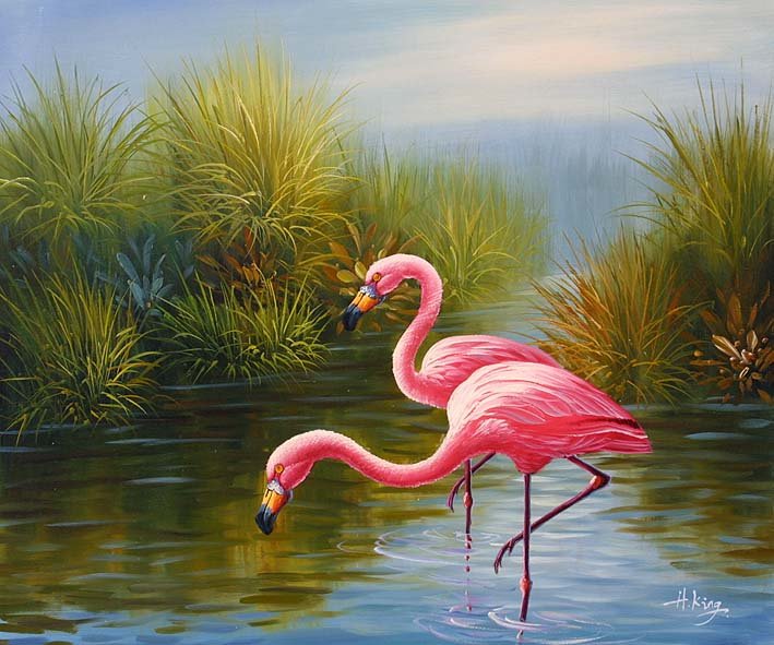 Розовый фламинго - птицы - оригинал