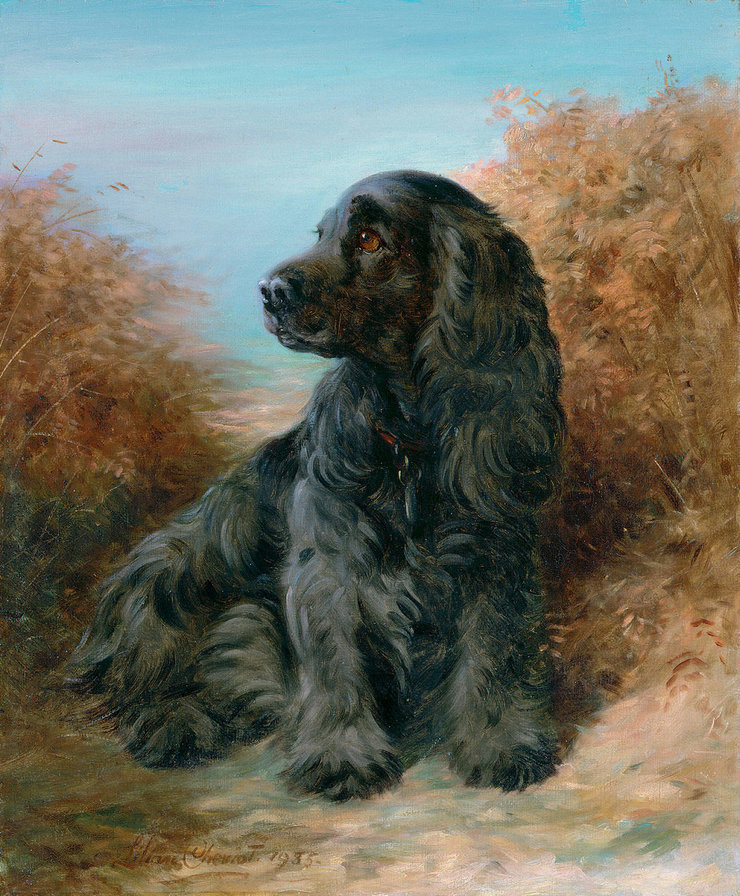 №1555172 - собаки - оригинал