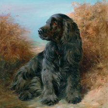 Схема вышивки «№1555172»