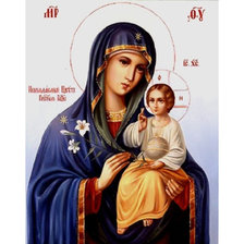 Схема вышивки «უჭკნობი ყვავილი2»