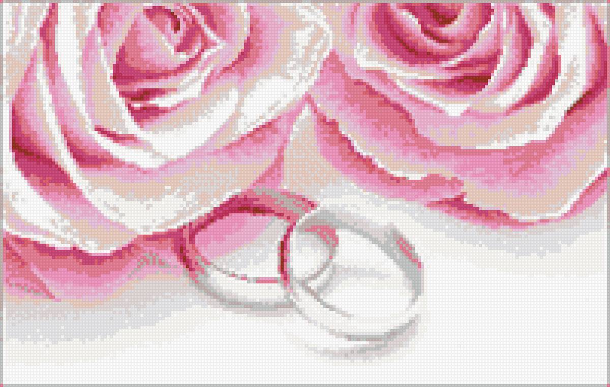 Розы для новобрачных - метрика свадебная - предпросмотр