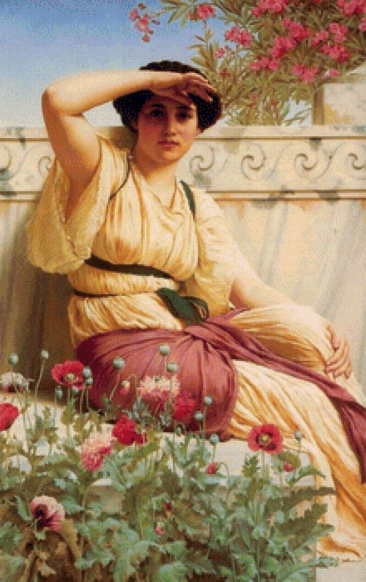 kobieta i maki - предпросмотр