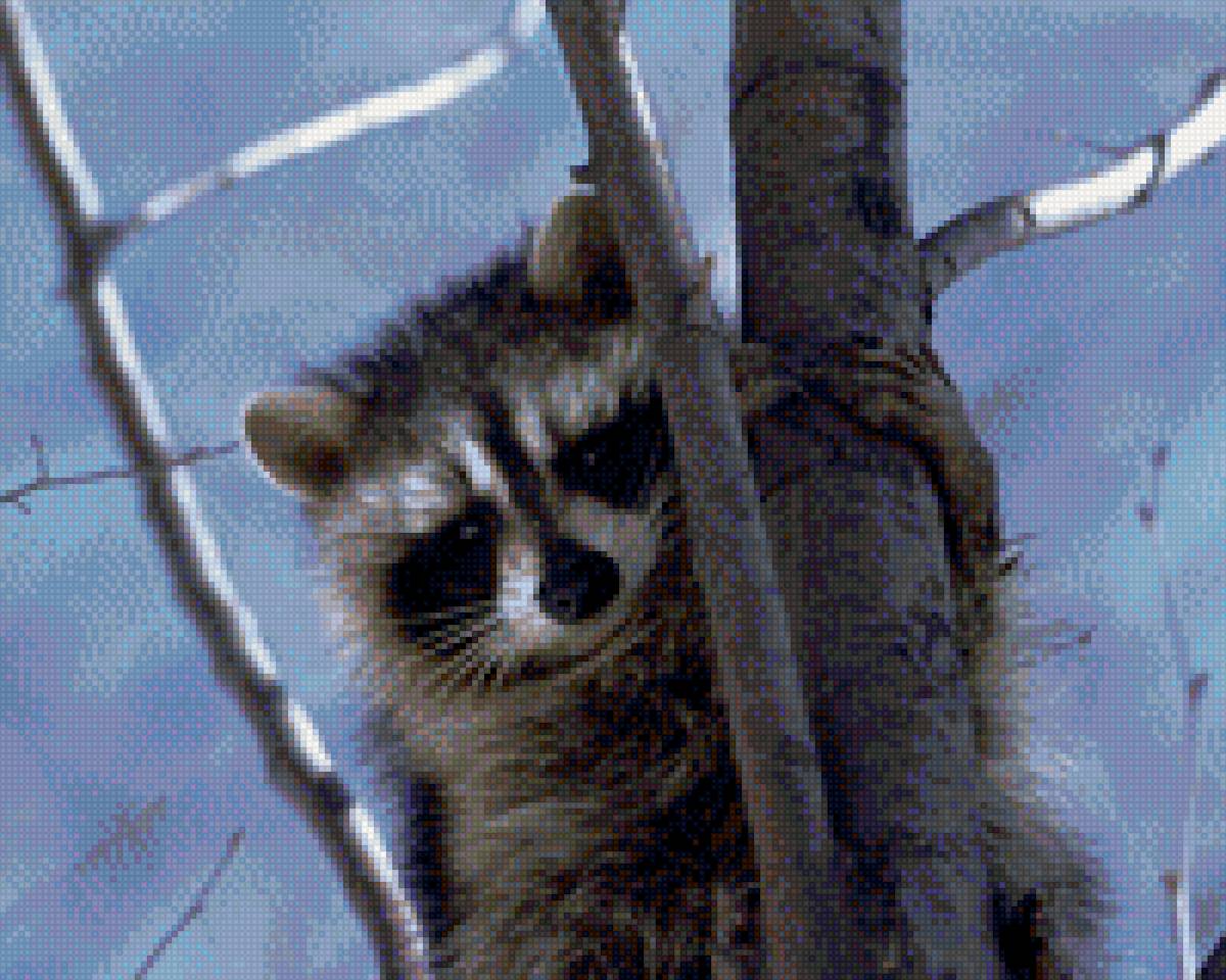 енот - дерево, енот, животное - предпросмотр