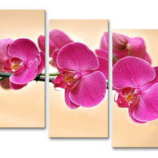 Схема вышивки «Орхидея. Триптих.»