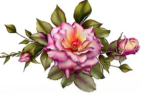 Роза - вышивка крестом - оригинал