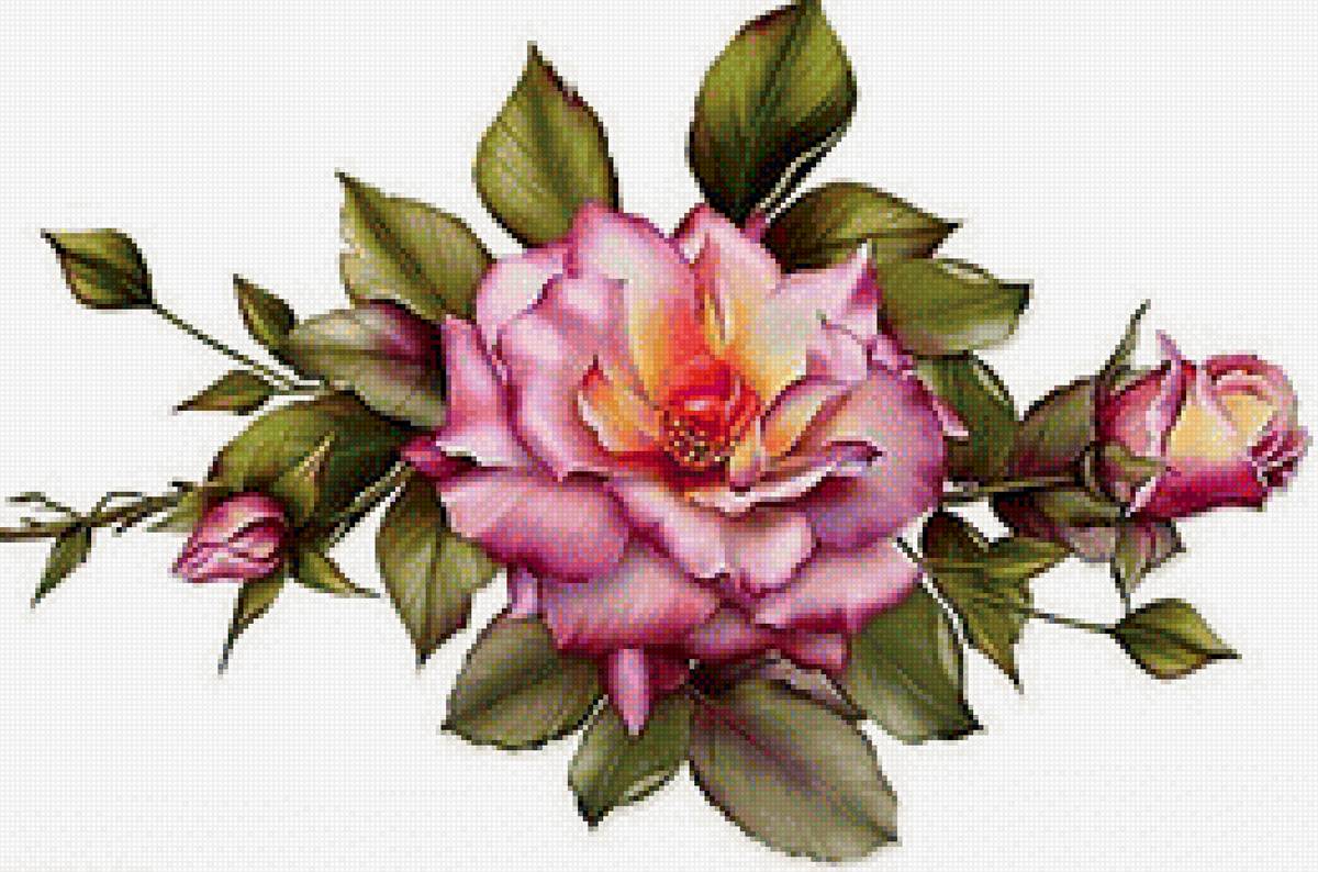 Роза - вышивка крестом - предпросмотр