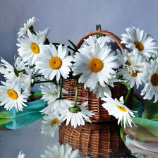 Схема вышивки «№1558182»