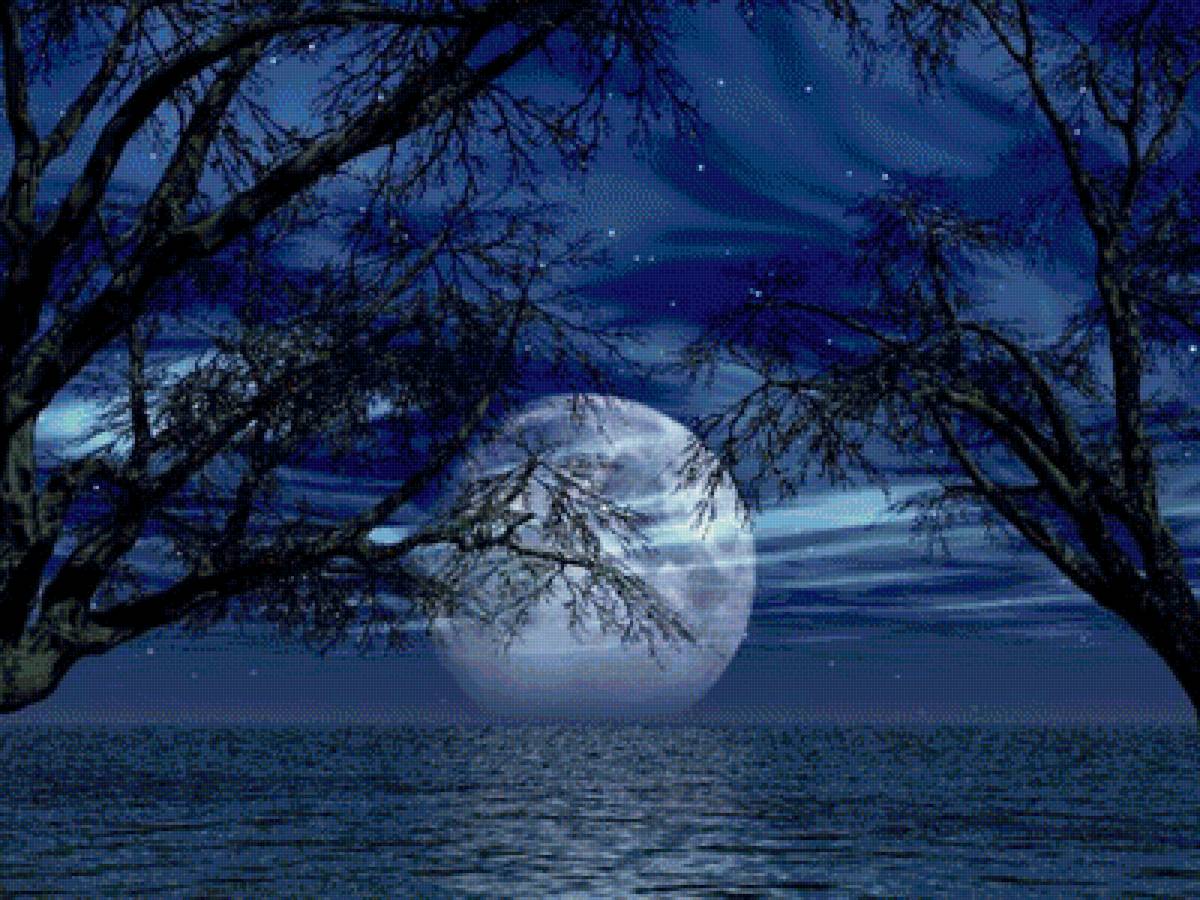 Море Луна дерево