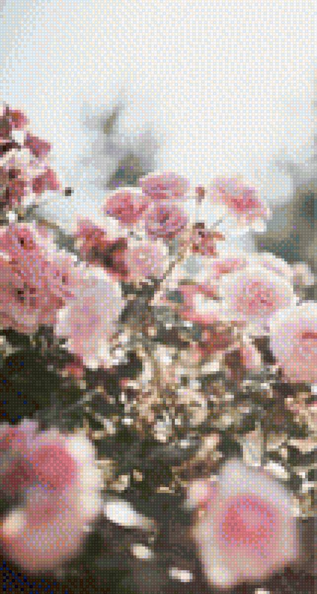 JARDÍN DE ROSAS - jardín rosas - предпросмотр