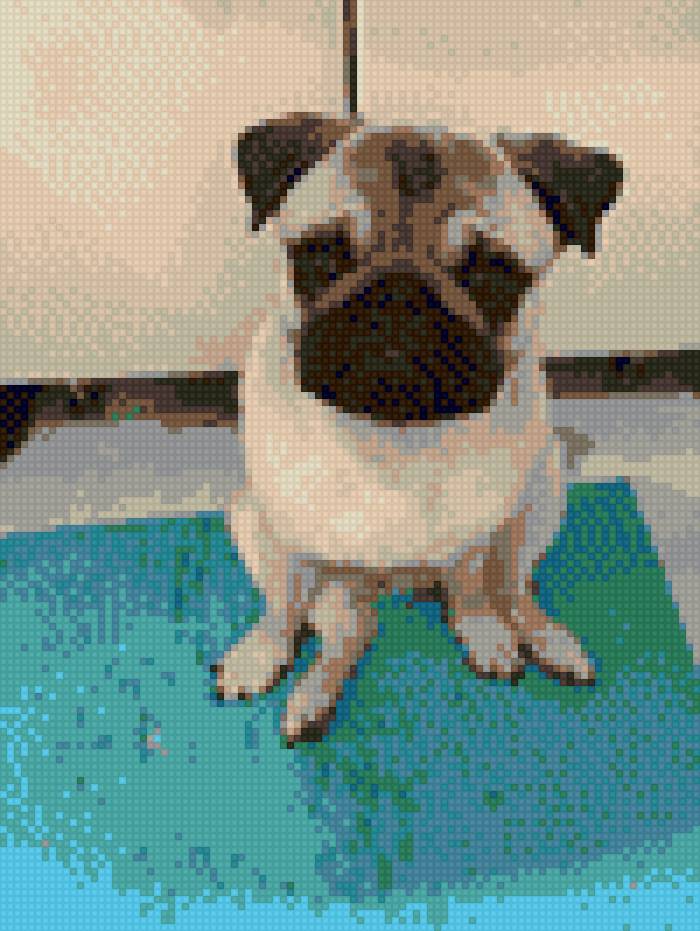 Гаврюша - мопс - предпросмотр