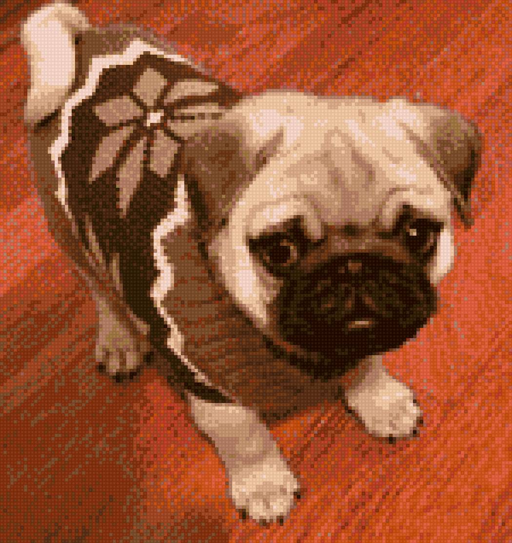 Гаврюша детство - мопс - предпросмотр