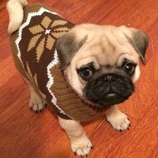 Схема вышивки «Гавр»