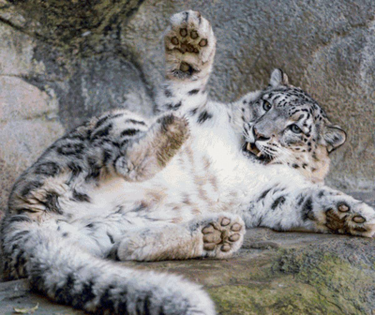 ирбис-1 - предпросмотр