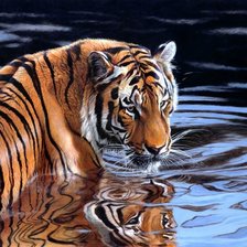 Схема вышивки «тигр-1»