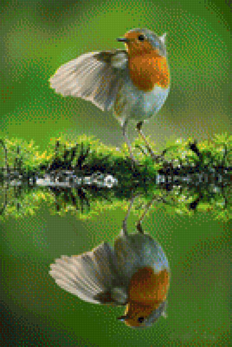 PETIROJO - pájaro - предпросмотр