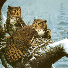 Схема вышивки «Совы»