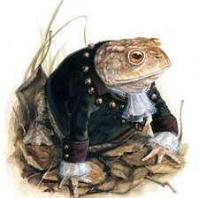 Схема вышивки «лягушка»