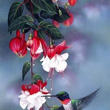 Схема вышивки «фуксия»