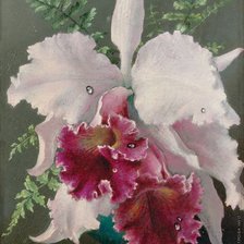 Схема вышивки «орхидея-1»