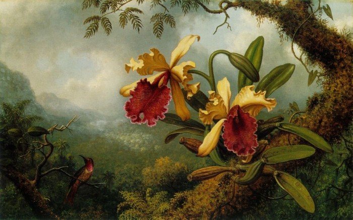 орхидея-2 - оригинал