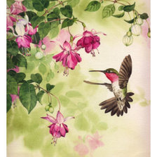 Схема вышивки «фуксия-1»