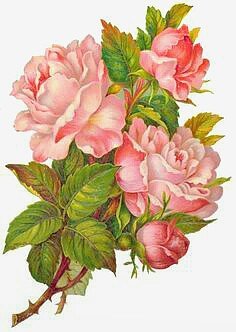 Розы - вышивка крестом - оригинал